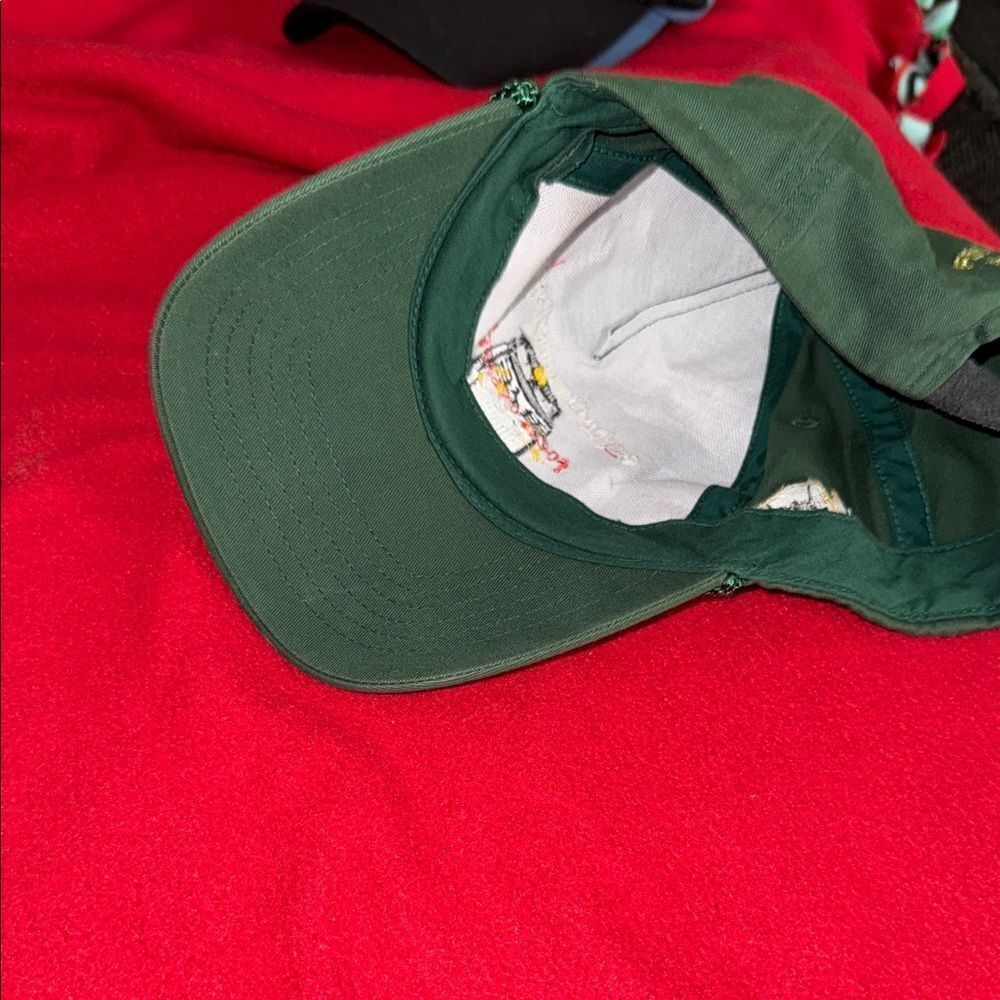 Green Embroidered Cap - Picture 6 of 6